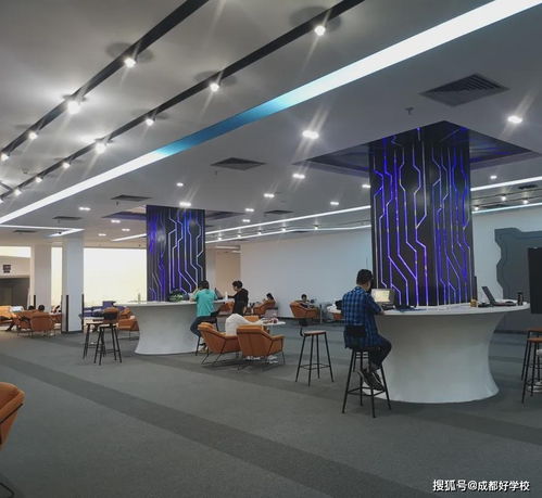 成實外國際部與電子科大大數(shù)據(jù)研究中心攜手共建前沿科技探索環(huán)境